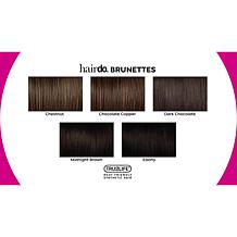 Hairdo Hairpieces  Style-A-Do & Mini-Do Set