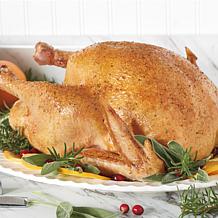 Hamilton Beach Electric Roaster Oven Red 22 Quarts