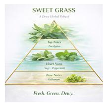 Happy Place 36 oz Supersize Air Freshener + Odor Eliminator Gel Refill