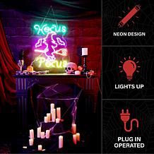 Haunted Hill Farm 1.9-Ft. Neon Multicolor LED Witch with Flying Bro...