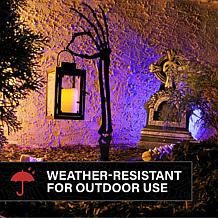 Haunted Hill Farm 2.3-Ft. LED Zombie Hand with Lantern & Stake for ...
