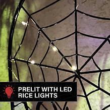 Haunted Hill Farm 2.6-Ft. LED Metal Spiderweb with Stake for Indoor...