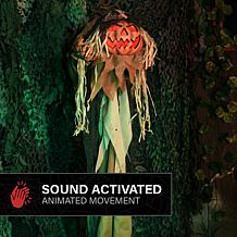 Haunted Hill Farm 5.4-Ft. Standing Head Dropping Pumpkin Man Animat...