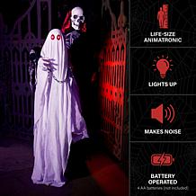 Haunted Hill Farm 5.9-Ft. Standing Animated Reaper with Ghost Anima...