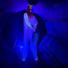 Haunted Hill Farm 7.1-Ft. Standing Animated Painting Clown Animatronic