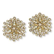 Heidi Daus Catch a Falling Snowflake Stud Earrings