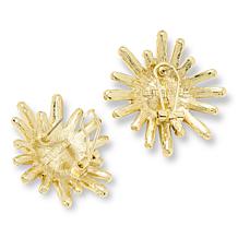 Heidi Daus Sparkler Alert Crystal Earrings