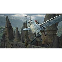 Hogwarts Legacy - Nintendo Switch 2