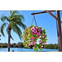 Improvements 11" Petunia Hanging Baskets - 2-pack