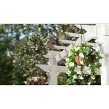 Improvements 11" Petunia Hanging Baskets - 2-pack