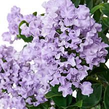 Improvements 3-foot Faux Crepe Myrtle Tree