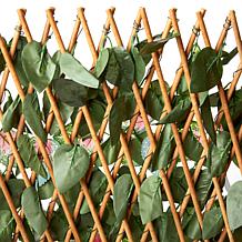 Improvements Expandable Fence