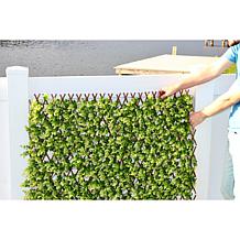 Improvements Floral Bloom Expandable Fence