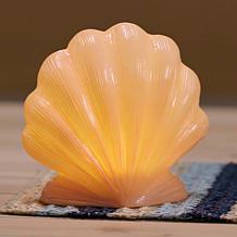 Improvements LED Shell Lamp Decor - Set of 2