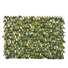 Improvements Lighted Expandable Fence