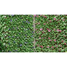 Improvements Petunia Expandable Fence