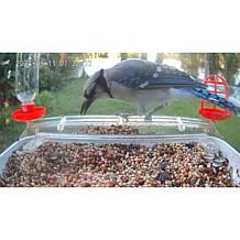 Improvements Solar Powered Smart Birdfeeder With Camera