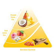 INSTAClean 112 oz. All Purpose Cleaner & Stain Remover