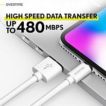 iPhone Charger Set - Silver