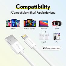 iPhone Charger Set: Wall Charger + 4 Ft Lightning Cable - Silver