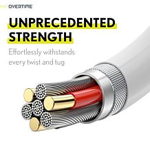 iPhone Charger Set: Wall Charger + 6 Ft Lightning Cable - Silver