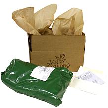 Iris Siberica Specialty Mixture 339 Set of 5 Roots