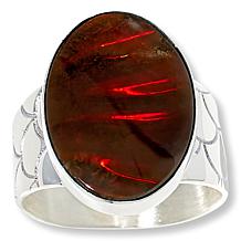 Jay King Gallery Collection Sterling Silver Ammonite Fossil Ring