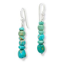 Jay King Sonoran Blue Turquoise Necklace & Earring Set