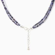 Jay King Sterling Silver 2-Strand Tanzanite Fringe Bead Necklace