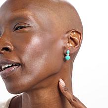 Jay King Sterling Silver Baja Turquoise Earrings