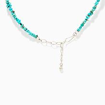 Jay King Sterling Silver Baja Turquoise Necklace