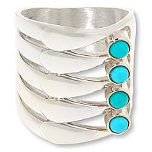 Jay King Sterling Silver Campitos Turquoise Wide Band Ring