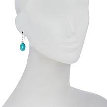 Jay King Sterling Silver Cloudy Mountain Turquoise Drop Earrings