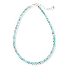 Jay King Sterling Silver Larimar Bead Necklace