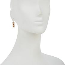 Jay King Sterling Silver Shitake Stone Rectangular Drop Earrings