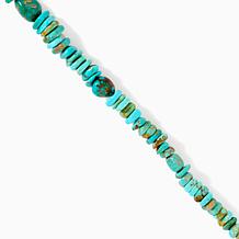 Jay King Sterling Silver Sonoran Turquoise Necklace