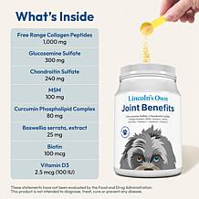 Joint Benefits for Dogs - 120 servings