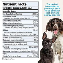 Joint Benefits for Dogs - 240 servings
