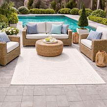 Joy CleanBoss Indoor/Outdoor Antimicrobial 4'x6' Area Rug