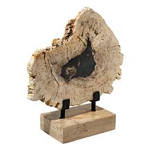 KALIFANO Petrified Wood Slice with Display Stand