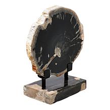 KALIFANO Petrified Wood Slice with Display Stand