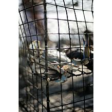 Kent Island Crab 10-count 4 oz. Jumbo Lump Crab Cakes Auto-Ship®