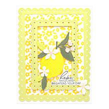 Kingston Crafts Everyday Printed Vellum Kit - 20 Sheets