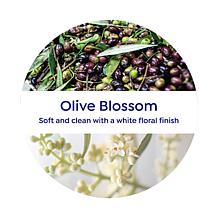 Korres Jumbo Olive & Blossom Body Cream with Pump