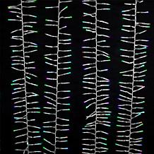 Kurt Adler 480-Light 15.7' RGB LED Connectable Cluster Garland