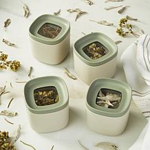 Leo Balance 4pc Food Container Set 5.4oz