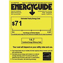 LG 14 000 BTU DUAL Inverter Wi-Fi Enabled Window Air Conditioner 