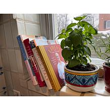 "Lidia's Pot, Pan & Bowl Simple Recipes" Cookbook