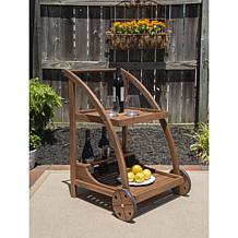 Linon Trent Indoor/Outdoor Wooden 2-Tier Trolley