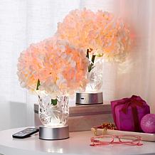 Living Glow Rechargeable LED Color Changing Flower Light - Set of 2